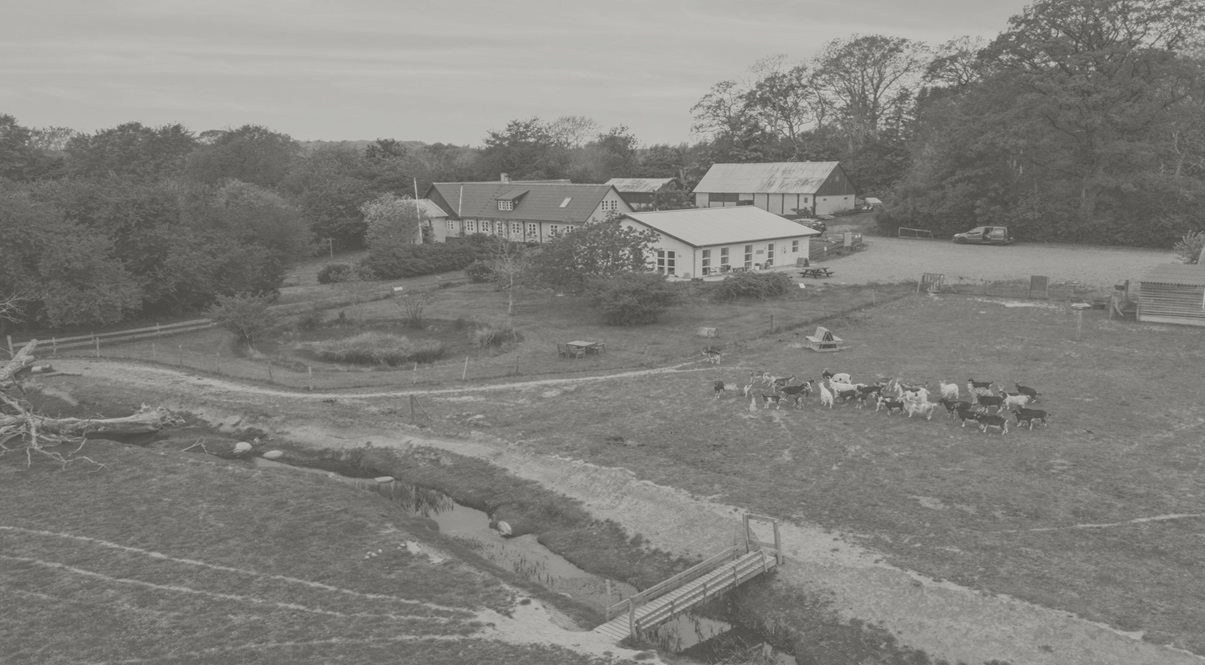 Luftfoto af Lykkelund gedemejeri med bygninger, å og gedeflok på Bornholm