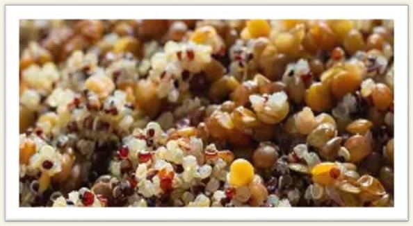 Korn- og bælgfrugtsalat med quinoa og linser